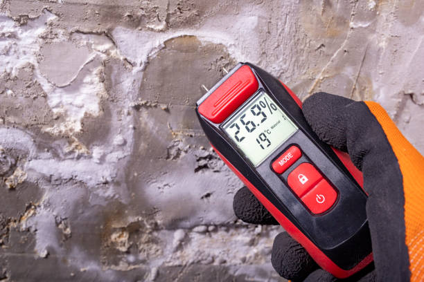 Best Home Mold Removal  in Montgomery, GA