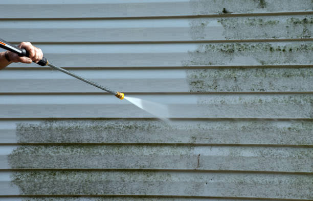 Best Certified Mold Removal  in Montgomery, GA