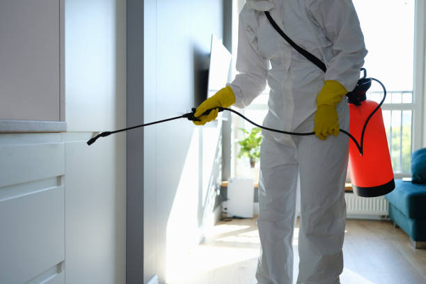 Best Mold Cleaning Services  in Montgomery, GA