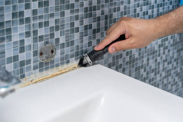 Office Mold Removal Services in Montgomery, GA