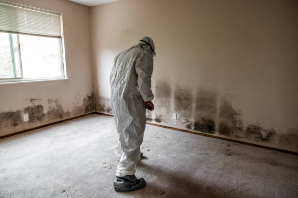 Best Mold Cleaning Services  in Montgomery, GA