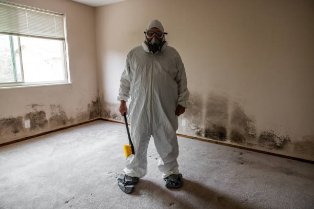 Best Crawl Space Mold Removal  in Montgomery, GA