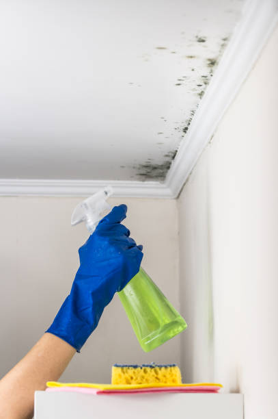 Best Mold Testing  in Montgomery, GA